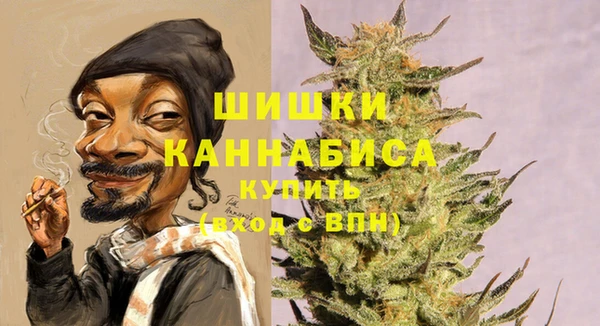 хмурый Рославль