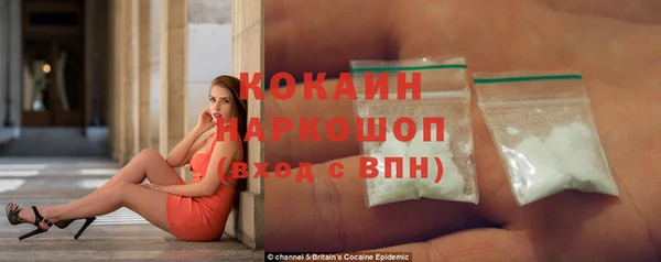 круглые Гусев