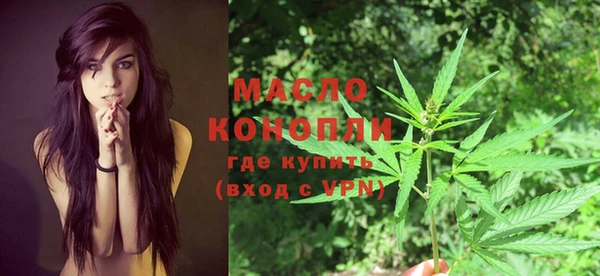 круглые Гусев