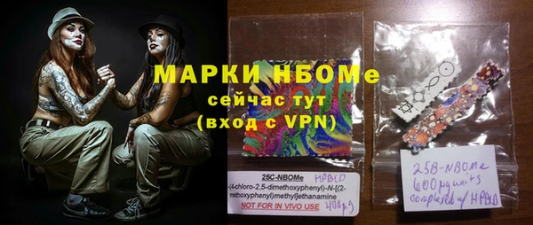 круглые Гусев