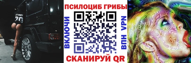 где можно купить наркотик Северодвинск Галлюциногенные грибы ЛСД